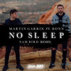 Martin Garrix ft . Bonn - No Sleep (Sam Bird Remix)
