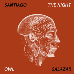 Santiago Salazar - Light the Sage - The Night Owl LP - Love What You Feel