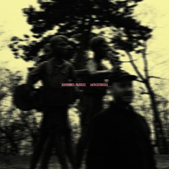 PREMIERE - Johannes Albert - Chestnut Poetry (Frank Music)