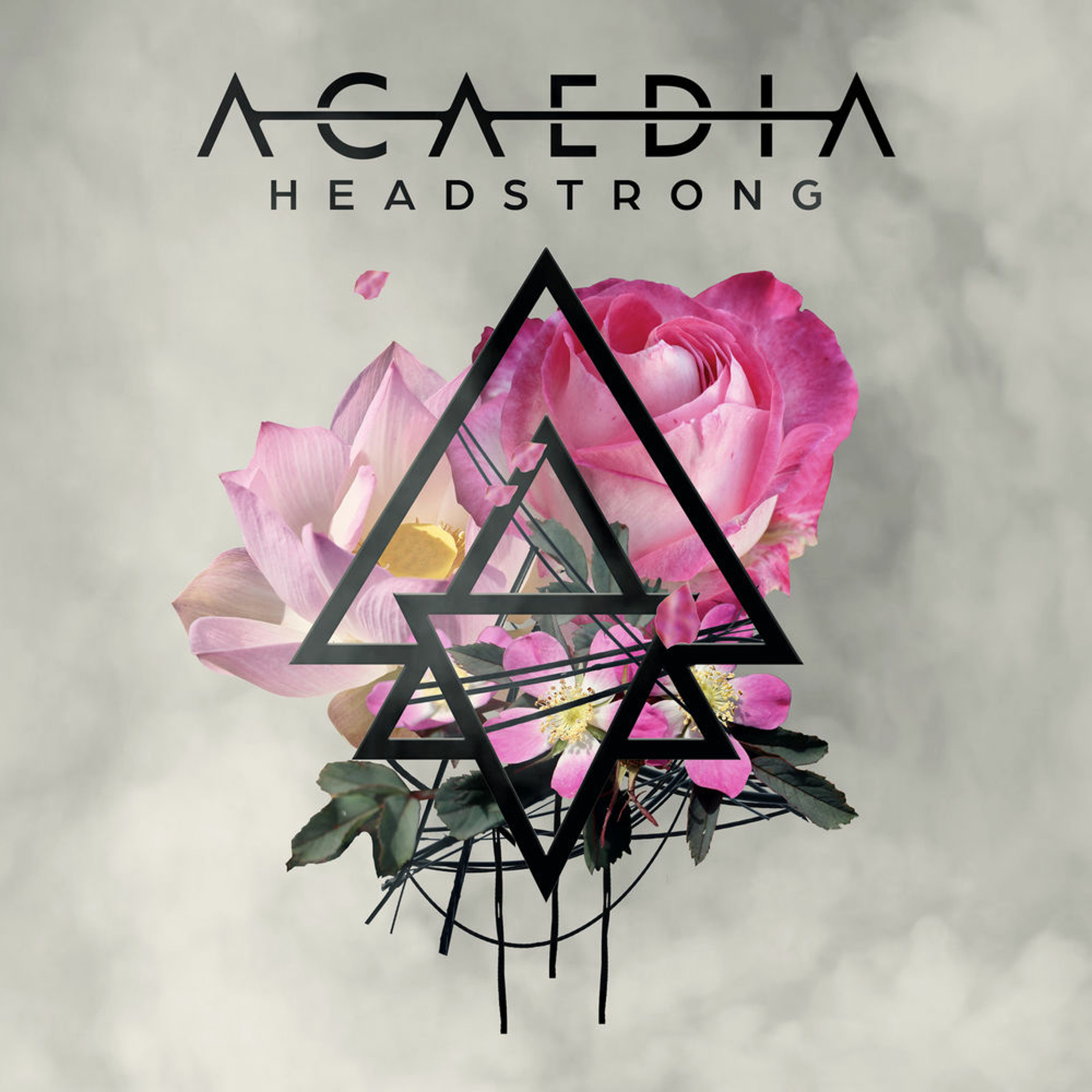 Only Metalcore