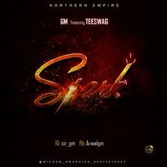 GM X TEESWAG SPARK