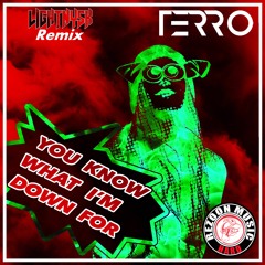 [RZ:28] Terro - You Know What I'm Down For (LIGHTNYSK Remix)