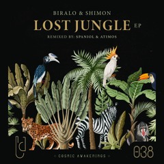 Biralo & Shimon - Lost Jungle (Original Mix)