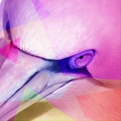 Clifford Lidell AKA DJ Casio - Secret Fever