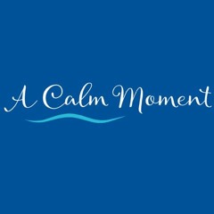 A Calm Moment Guided Belly Breathing Meditation