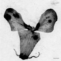 Premiere: Lucy 'Dyscamupia (Paused)'