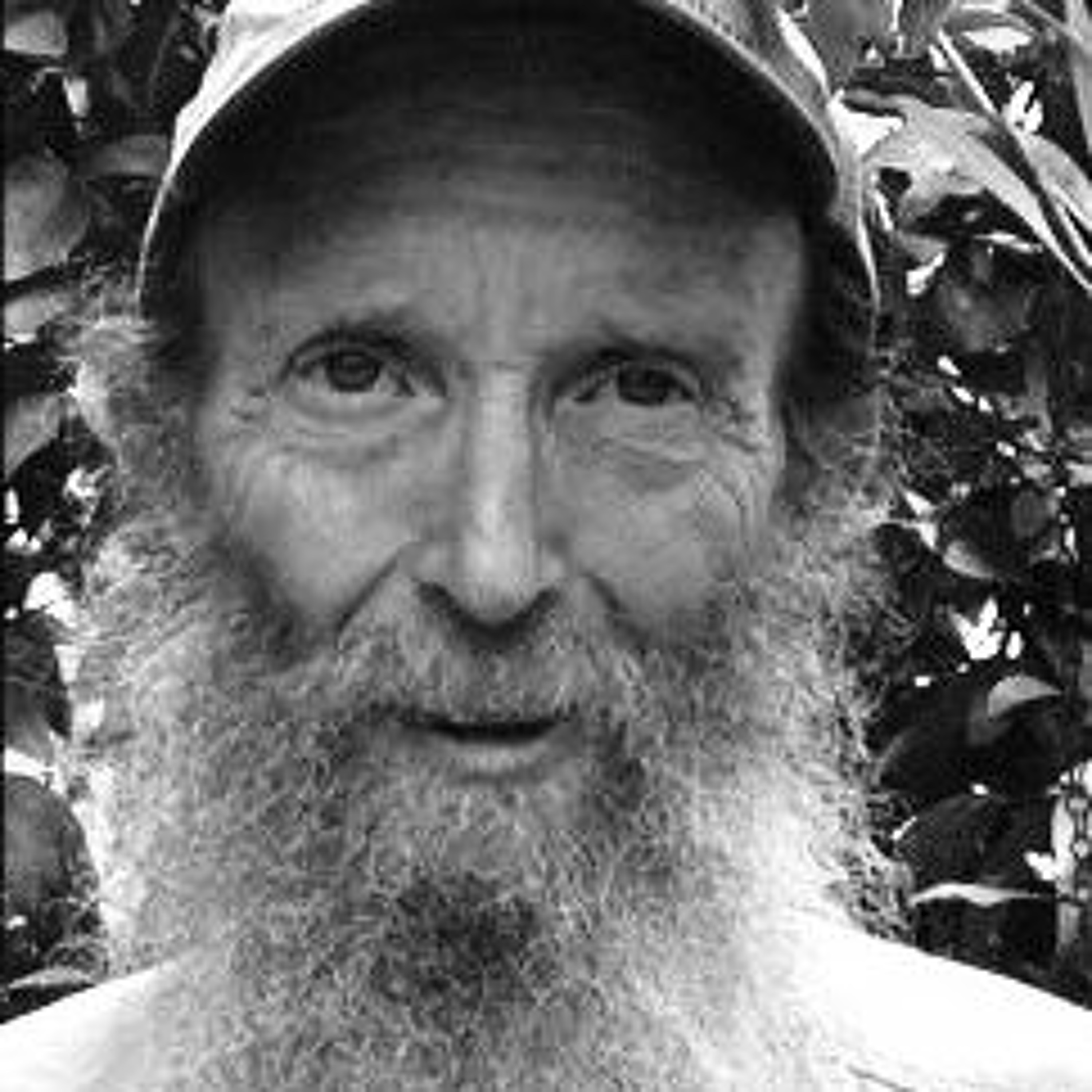Episode 023 - Dr. Alan 'Mushroom' Kapuler: Weaving the Fabric of Biodiversity Through Plant Breeding