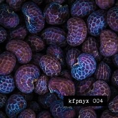 kfpnyx 004 by boeckler