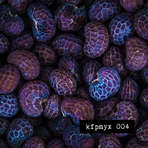 kfpnyx 004 by boeckler