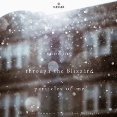 halF particlE [naviarhaiku270]