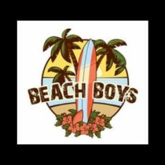 Beach Boys 2010