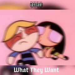 WHAT THEY WANT???