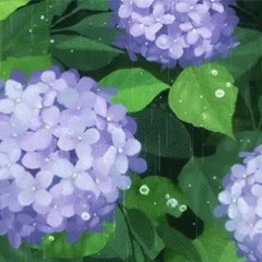 Kokoro mo Torokeru Madeleine