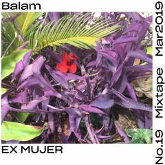 MIXTAPE #19: EX MUJER