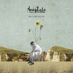 Amigdala - Balada Puan