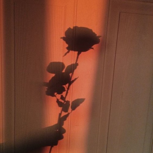 Shadow Work Mix 🌹🌙