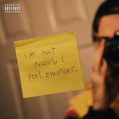 I'm not numb i feel emotions