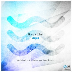 Gvozdini - Aqua (Original Mix)