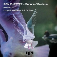 Ron Flatter - Proteus - Beatboutique Rec.