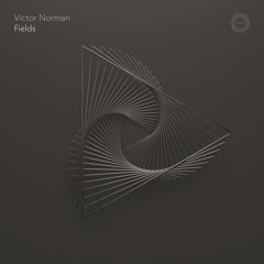 PREMIERE: Victor Norman - Fields [ Recursive Music ]