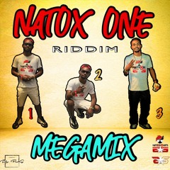 DJ NATOXIE - Natox One Riddim Mégamix