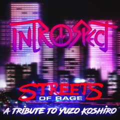 Introspect — The Streets Of Rage