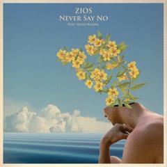 Never Say No (feat. Hugo Bladel)