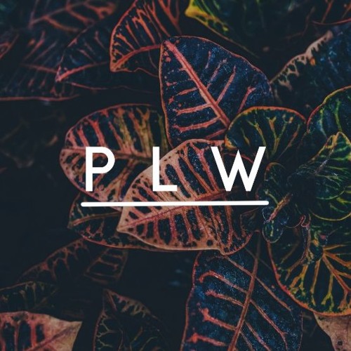 Old School Bangers (P L W Mix)