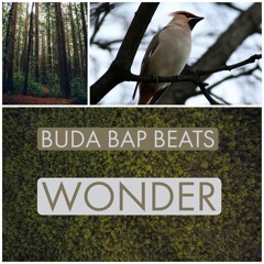 Wonder | Buda Bap Beats - 82bpm