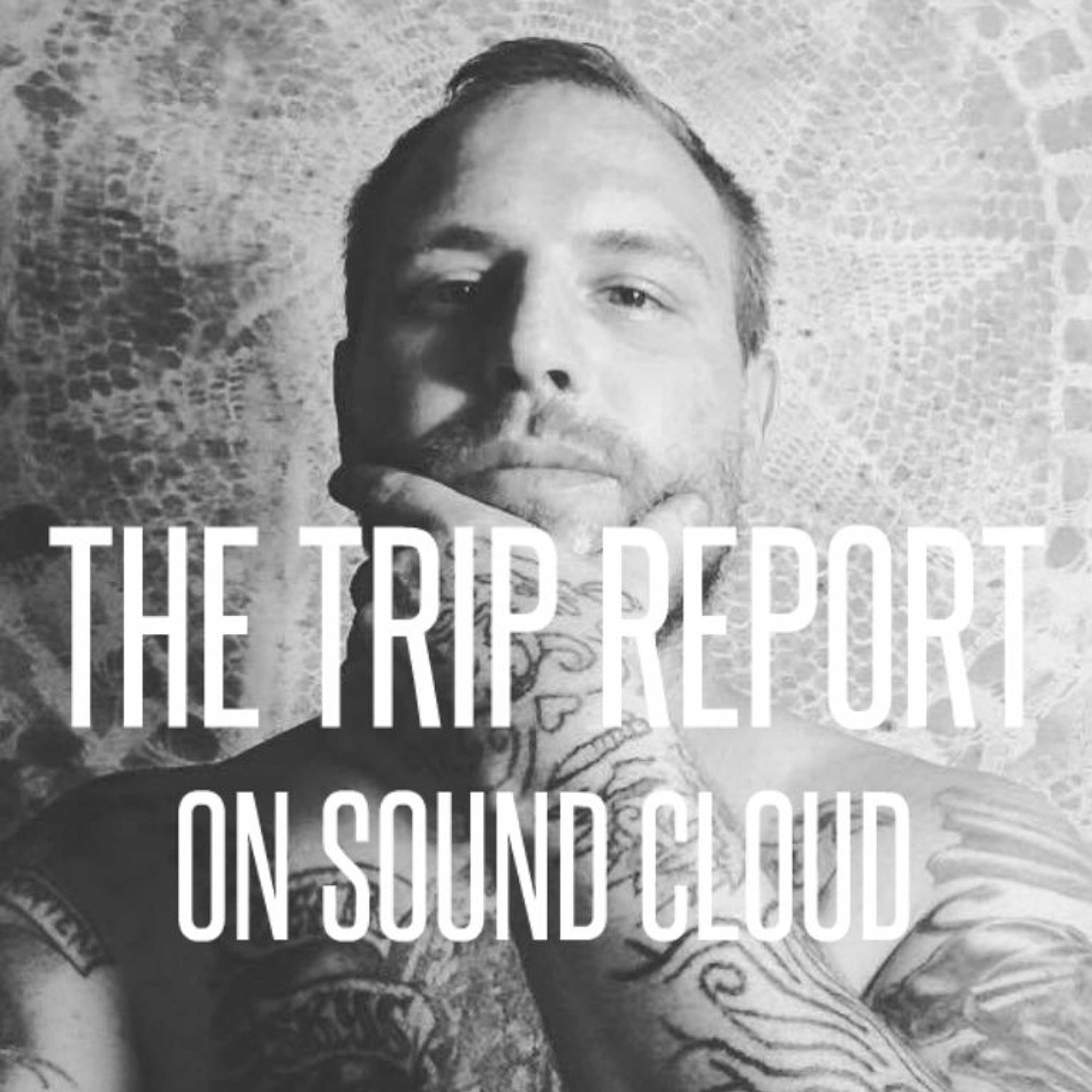 #62 - Street fighting alpha males talk business thumbnail