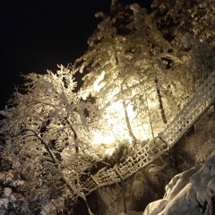 Baba Bulleh Shah Kalam Punjabi Vigar Gai Ae Thore Dina Ton | Sufiyaan Kalam