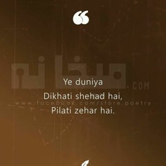 Baba Bulleh Shah Kalam Punjabi Yaadan Vichre Sajan Diyan Aen | Sufiyaan Kalam | Fsee Writes