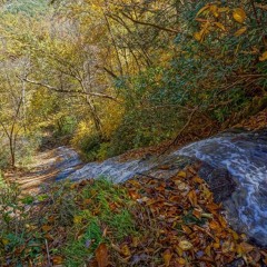 Cascade