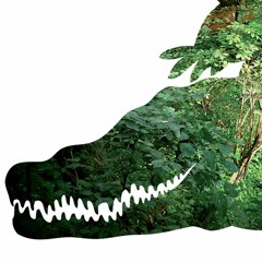 Teuk Henri & Mick Lemaire - De Beuk (a theatrical walk)