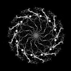 Synapse [160] - Free Download
