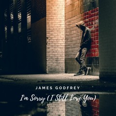 I'm Sorry (I Still Love You)