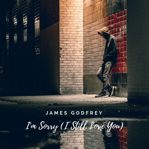 I'm Sorry (I Still Love You)