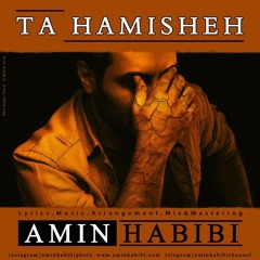 Amin Habibi_Ta Hamisheh