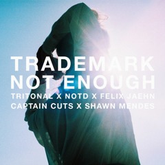 Not Enough (Tritonal X NOTD X Felix Jaehn X Captain Cuts X Shawn Mendes)