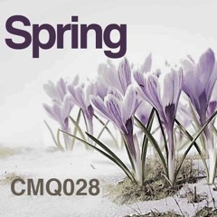 CMQ028 Wurrm - Degrees Of Separation (Cosmetiq dub)