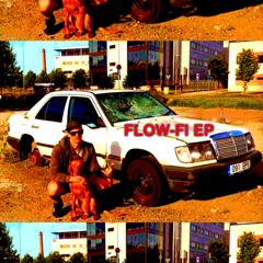 Flow-Fi EP