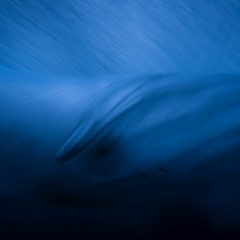 Tinnitus Group Therapy
