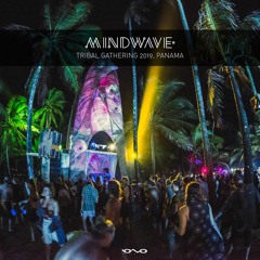 Mindwave @ Tribal Gathering 2019, Panama