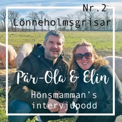 Pär ola och Elin - Lönneholmsgrisar