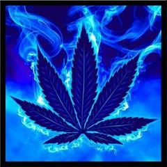 Trilla Than Many x B2 x Papi Kushy