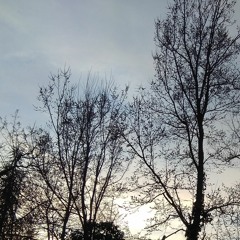MORE LIGHT, experimental ambient