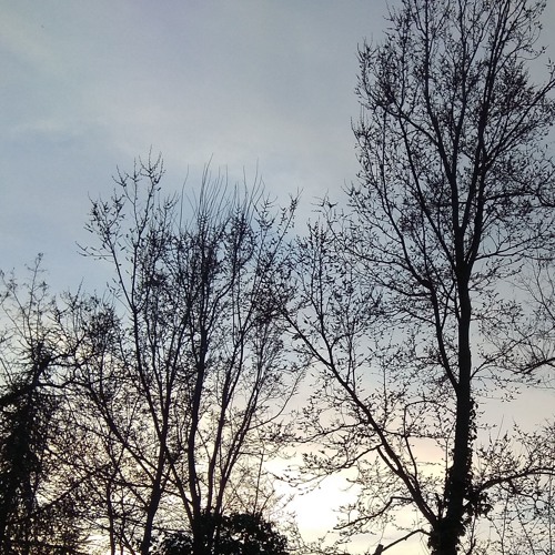 MORE LIGHT, experimental ambient