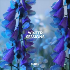 Winter Sessions Mix: 008