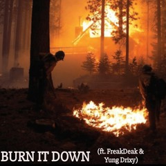 Burn It Down by Triple Z