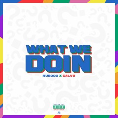 x CALVOO - WHAT WE DOIN